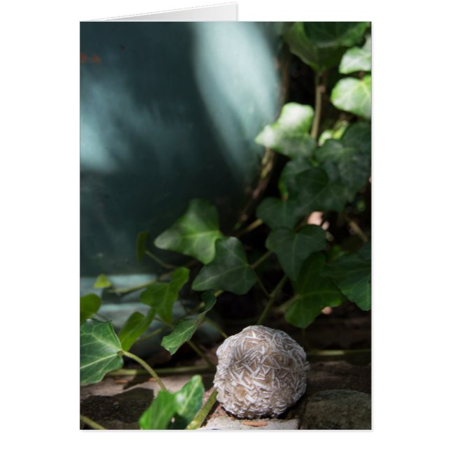 Stenen | Rest Roos 145 (Voorkant)