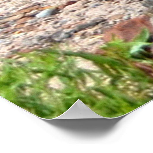 Stenen stammen in het versteende bos poster (Hoek)