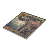 Stenen Tegeltje (Zijkant)