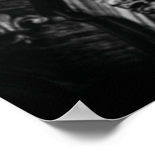 Stenen vleugels schedel poster (Hoek)