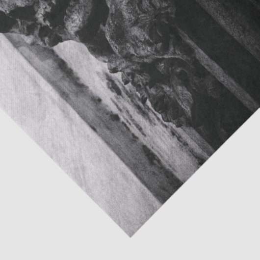 Stenen vleugels schedel tissuepapier (Detail)