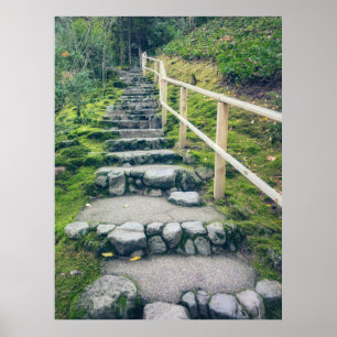 Stenen voetpad naar weelderig bos poster