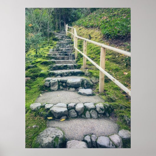 Stenen voetpad naar weelderig bos poster (Voorkant)
