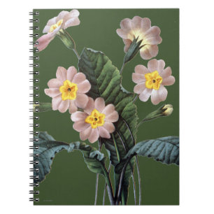 Stengelloze sleutelbloem (Primula Aucalis) Notitieboek