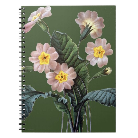 Stengelloze sleutelbloem (Primula Aucalis) Notitieboek (Voorkant)