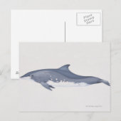 Steno Briefkaart (Voorkant / Achterkant)