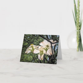 Stenton Garden Serie - Bloeiende Bloedrode Kornoel Bedankkaart