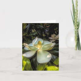 Stenton House Magnolia Dankkaart Bedankkaart