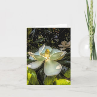 Stenton House Magnolia Dankkaart Bedankkaart