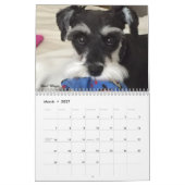 Stephanies Schnauzers 2018 Agenda Kalender (Mar 2027)