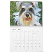 Stephanies Schnauzers 2018 Agenda Kalender (Jan 2027)