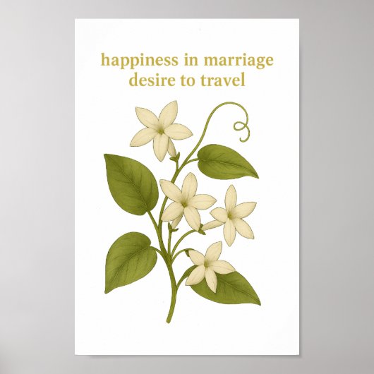 Stephanotis - Geluk in het huwelijk Poster (Voorkant)
