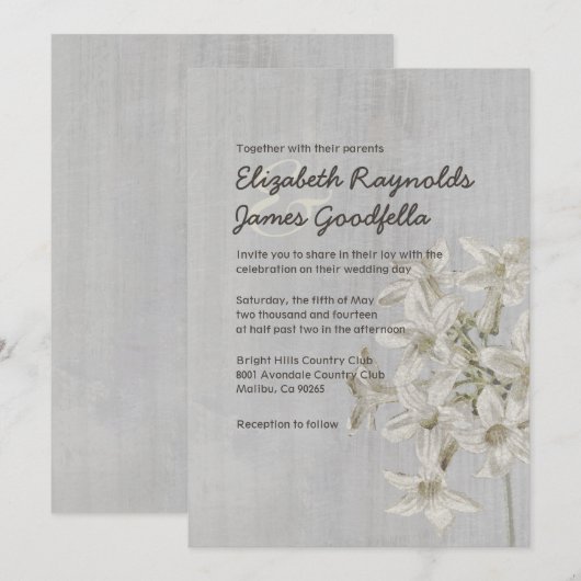  Stephanotis Wedding-uitvindingen Kaart (Voorkant / Achterkant)