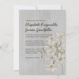 Stephanotis Wedding-uitvindingen Kaart