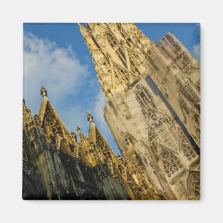 Stephansdom Magneet