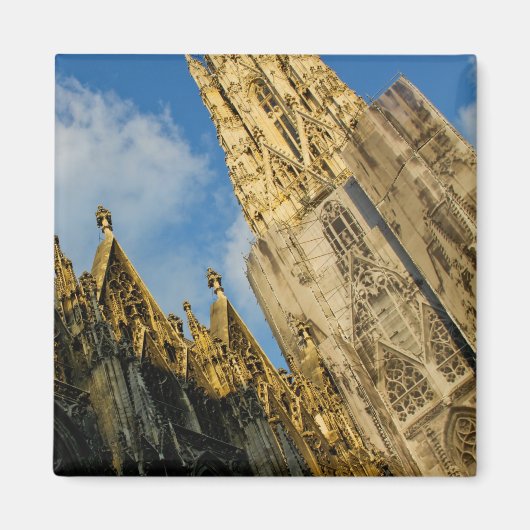 Stephansdom Magneet (Voorkant)
