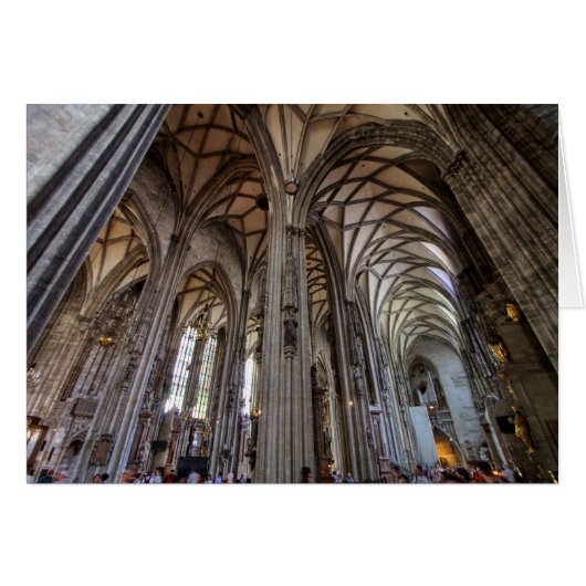 Stephansdom, Wien Österreich (Voorkant Horizontaal)