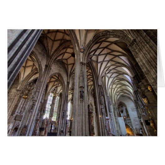 Stephansdom, Wien Österreich (Voorkant Horizontaal)