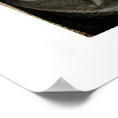 Stephen by Giotto di Bondone Poster (Hoek)