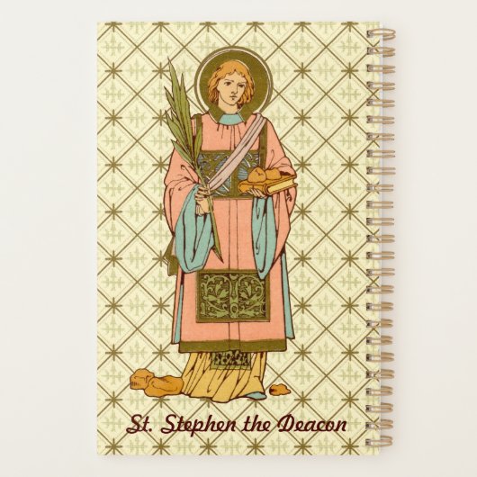 Stephen de Proto-Martyr (RLS 17) Planner (Achterkant)