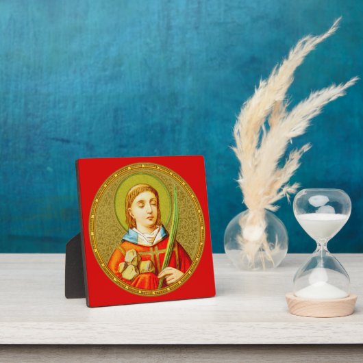 Stephen de ProtoMartyr (SNV 26) (RoundImage) Fotoplaat (Insitu)