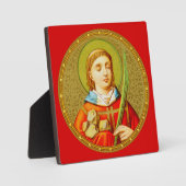 Stephen de ProtoMartyr (SNV 26) (RoundImage) Fotoplaat (Voorkant)