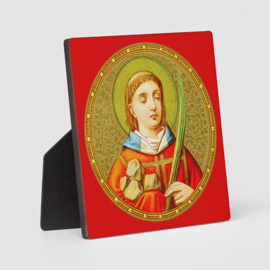 Stephen de ProtoMartyr (SNV 26) (RoundImage) Fotoplaat (Voorkant)