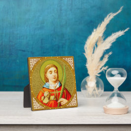 Stephen de ProtoMartyr (SNV 26) (SquareImage) Fotoplaat