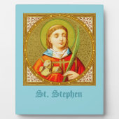 Stephen (SNV 26) (Square Afbeelding) 8 x 10 inch Fotoplaat (Voorkant)