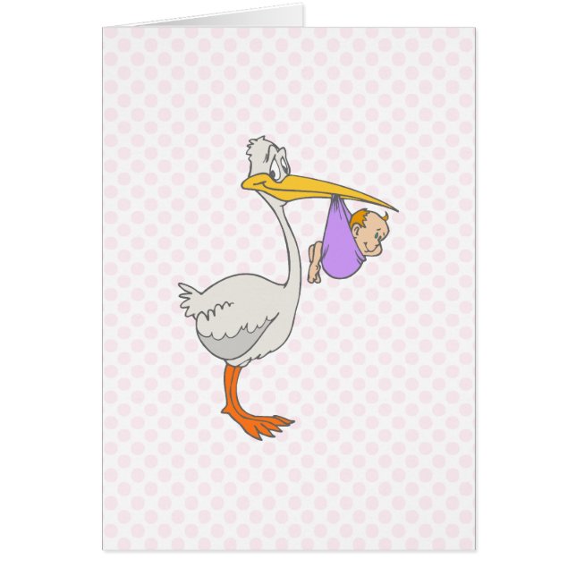 Stephen Stork (Voorkant)