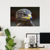 Steppe Eagle Close-up portret Poster (Thuiskantoor)