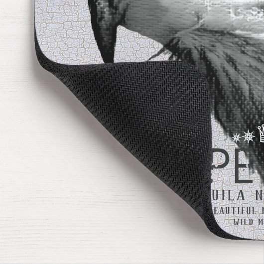 Steppe Eagle Muismat (Hoek)