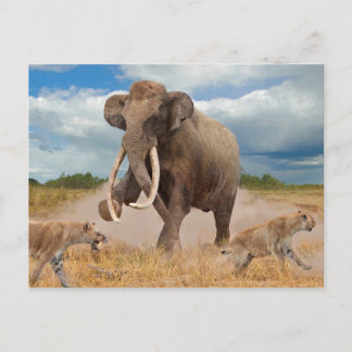 Steppe Mammoth-Briefkaart Briefkaart