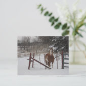 Stepper in de sneeuw briefkaart (Staand voorkant)