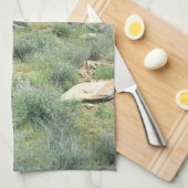 Stepping Stones Desert Photo Kitchen Towels Theedoek (Quarter Fold)