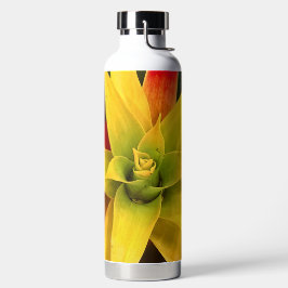 Ster exploderen waterfles