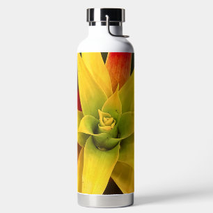 Ster exploderen waterfles