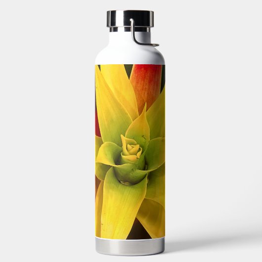 Ster exploderen waterfles (Links)