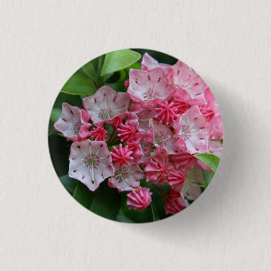 Ster Gevormde Kalmias Ronde Button 3,2 Cm