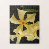 Ster Jasmijn Bloem 11x14 252pc jpcna Legpuzzel (Verticaal)