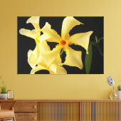 Ster Jasmijn Bloem 60x40 (150x100cm) waca Canvas Afdruk (Insitu (Woonkamer))