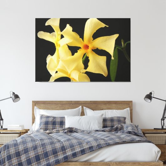 Ster Jasmijn Bloem 60x40 (150x100cm) waca Canvas Afdruk (Insitu (Slaapkamer))
