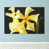 Ster Jasmijn Bloem 60x40 (150x100cm) waca Canvas Afdruk (Insitu (Houten vloer))