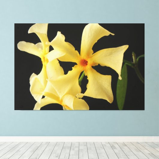 Ster Jasmijn Bloem 60x40 (150x100cm) waca Canvas Afdruk (Insitu (Houten vloer))