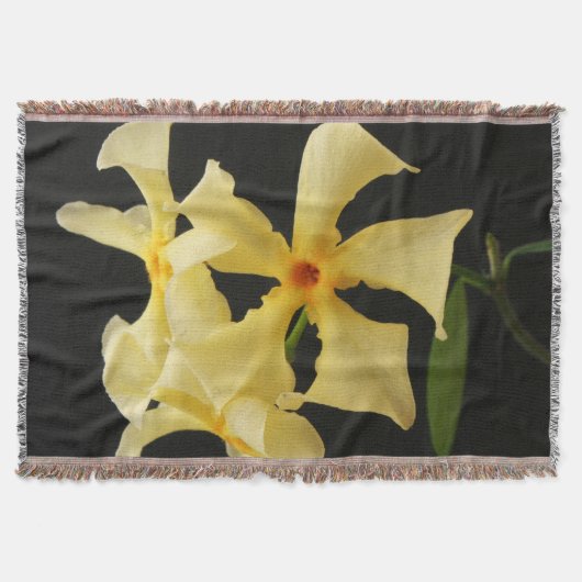 Ster Jasmijn Bloem tbcna Deken (Voorkant)
