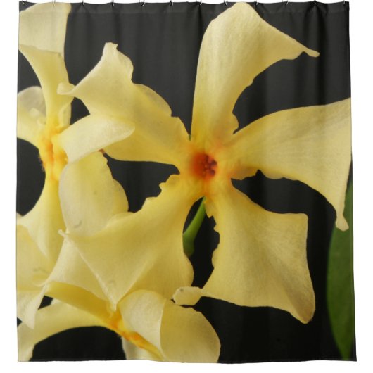 Ster Jasmine Bloemscan Douchegordijn (Voorkant)