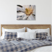 Ster Magnolia Bloem Canvas Print (Insitu (Slaapkamer))
