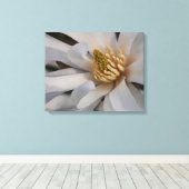 Ster Magnolia Bloem Canvas Print (Insitu (Houten vloer))