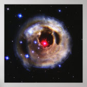 ster poster (Voorkant)