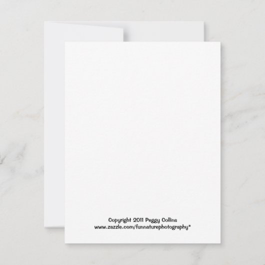  Ster Spangled Banner Song Sheet Lyrics (Achterkant)